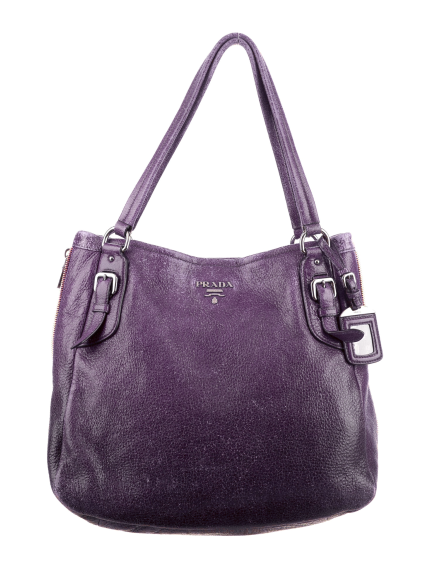 Prada Cervo Shine Shoulder Bag — UFO No More